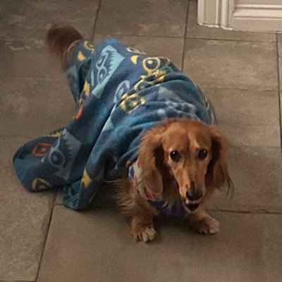 Señorbacon's profile image